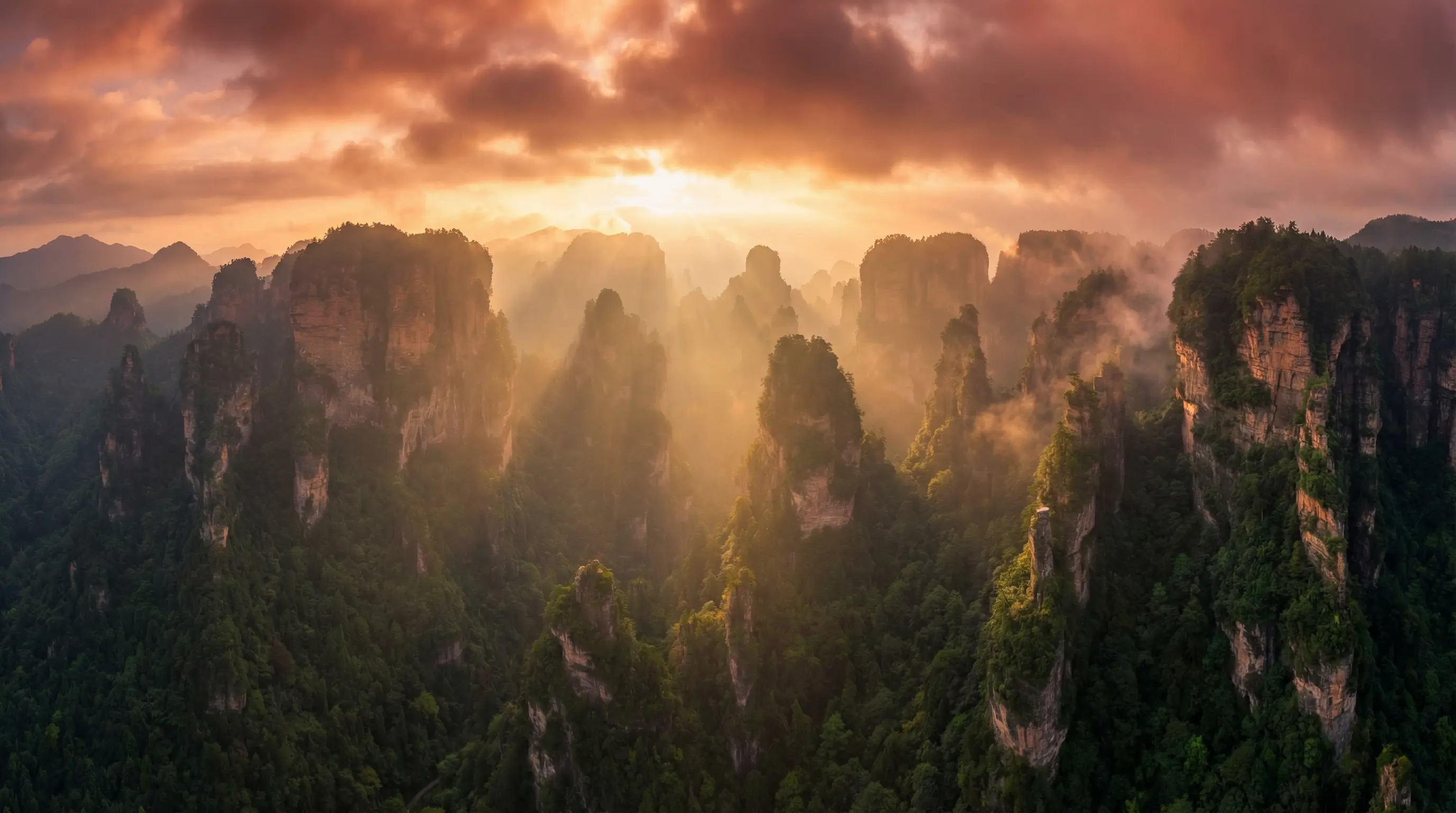 上海龙凤 自然风光视频封面